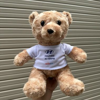 GỐI BÔNG TEDDY MẶC ÁO LÔNG XOẮN IN LOGO