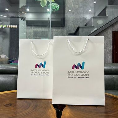 TÚI GIẤY MỸ THUẬT IN LOGO THEO YÊU CẦU – GIẢI PHÁP BAO BÌ QUÀ TẶNG SANG TRỌNG