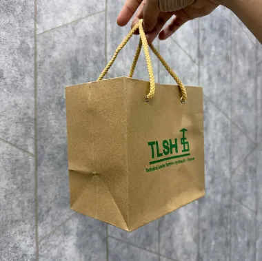 TÚI GIẤY IN LOGO – TÚI GIẤY KRAFT IN LOGO THEO YÊU CẦU